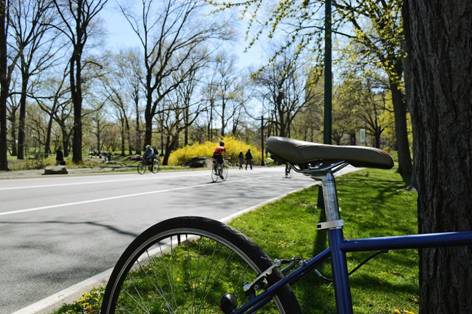 bike near a pathwalk in central park