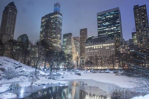 The Conservancy organization takes responsibility for all the basic all year round maintenance of the Central Park.