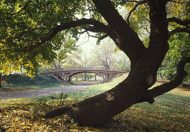 bridge in central park