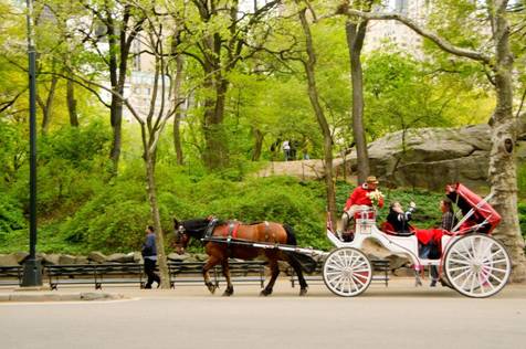 If you are curious about what you can do in this world-famous park then you will be interested in these Central Park activities.