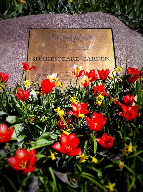 Shakespeare Garden